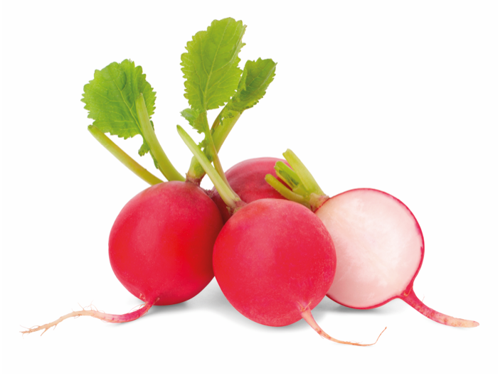 Radijs - Veggipedia