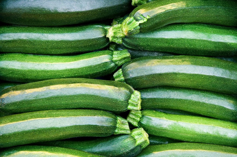 Veggipedia