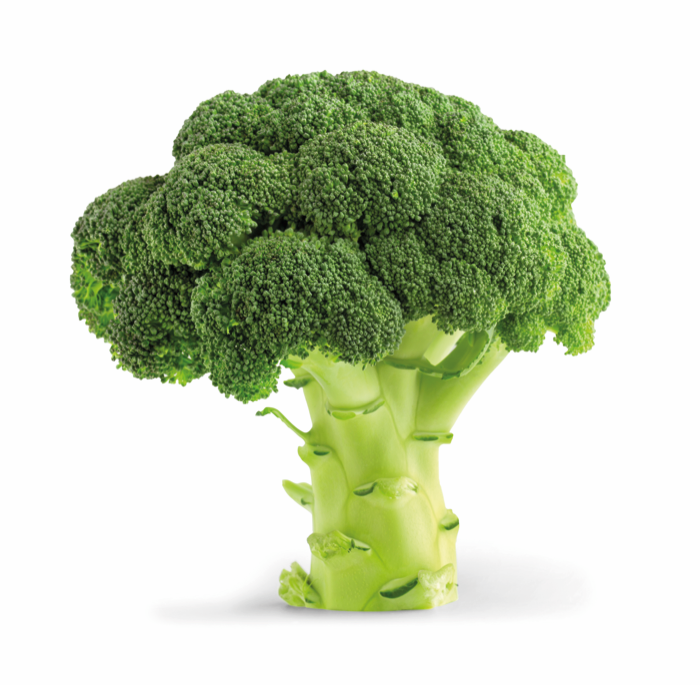 Broccoli